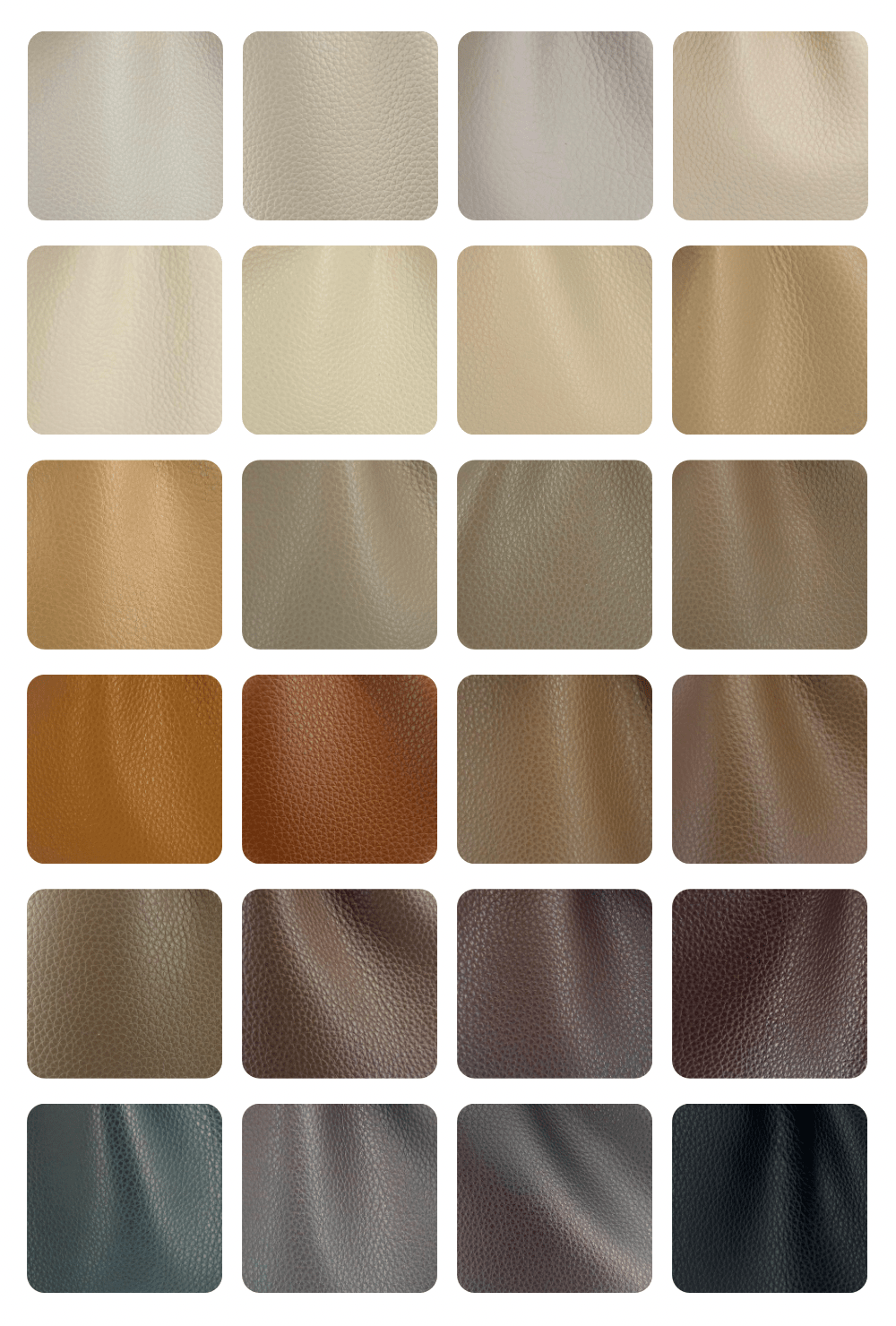 Swatch Kit - Dextra Living